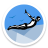 Cliff Diver icon