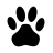 Paw Runner icon