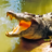 Crocodile Simulator Sim icon