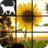 Flower Slide Puzzle icon