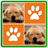 Dogs Memory Game 2 icon
