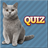 Cats Quiz icon