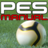 PES 2019 Manual version 1.0.126
