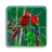 Birds Puzzle version 1.1