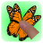 TouchButterfly icon