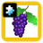 Fruit APK Download