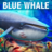 Blue Whale Simulator APK Download