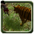 Mowgli's Jungle Run icon