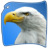 eagle simulator eagle games APK Download