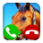 Fake Call Horse Game icon