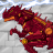 Fire Tyrannosaurus - Combine! Dino Robot icon