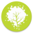 스킬나무 icon