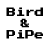 Descargar Bird and Pipe