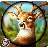 Deer Hunting Wild Animals icon