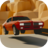 Skid Rally icon