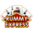 Rummy Express icon