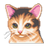 Cat Care icon