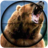 Bear Hunting icon