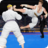 KarateTrainingFighting2018 version 1.0.7