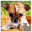 Dog Puzzles 21.1