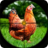 Chicken Hunting 2019 icon