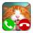 Fake Call Cat Game 2 icon