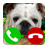 Fake Call Dog Game icon