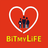 BitMyLife version 1.1