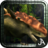 Dinosaur Safari icon