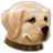 Hey Puppy icon