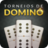 Domino version 41.12