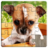 Dog Puzzles APK Download