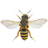 Bee version 1.26