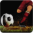 Pro Soccer Leagues version 1.3
