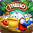 Tribio Puzzle version 0.52
