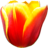 Tulip Crush icon