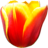 Tulip Crush 1.7