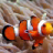 3D Bony Fish Slots - Free icon