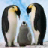 3D Penguin Slots - FREE icon