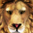 Lion Vs Wild Adventure 3D Game icon