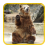 Bears Puzzle APK Download