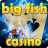 Big Fish Casino icon