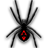Black Widow Spider Solitaire icon