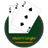 Marriage Card Game icon