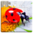 Insect Puzzles icon