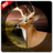 Deer Hunter 17 icon