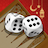 Backgammon Plus icon