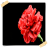 Carnation Flowers Onet Game version 1.0