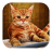 cat reflex icon