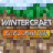 Winter Craft icon